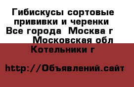 Гибискусы сортовые, прививки и черенки - Все города, Москва г.  »    . Московская обл.,Котельники г.